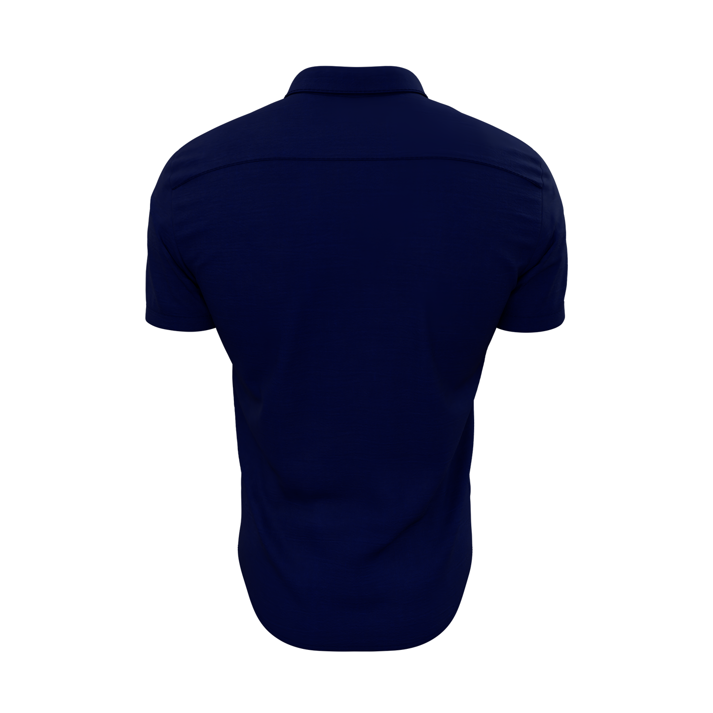 Navy Blue Palmetto Tree