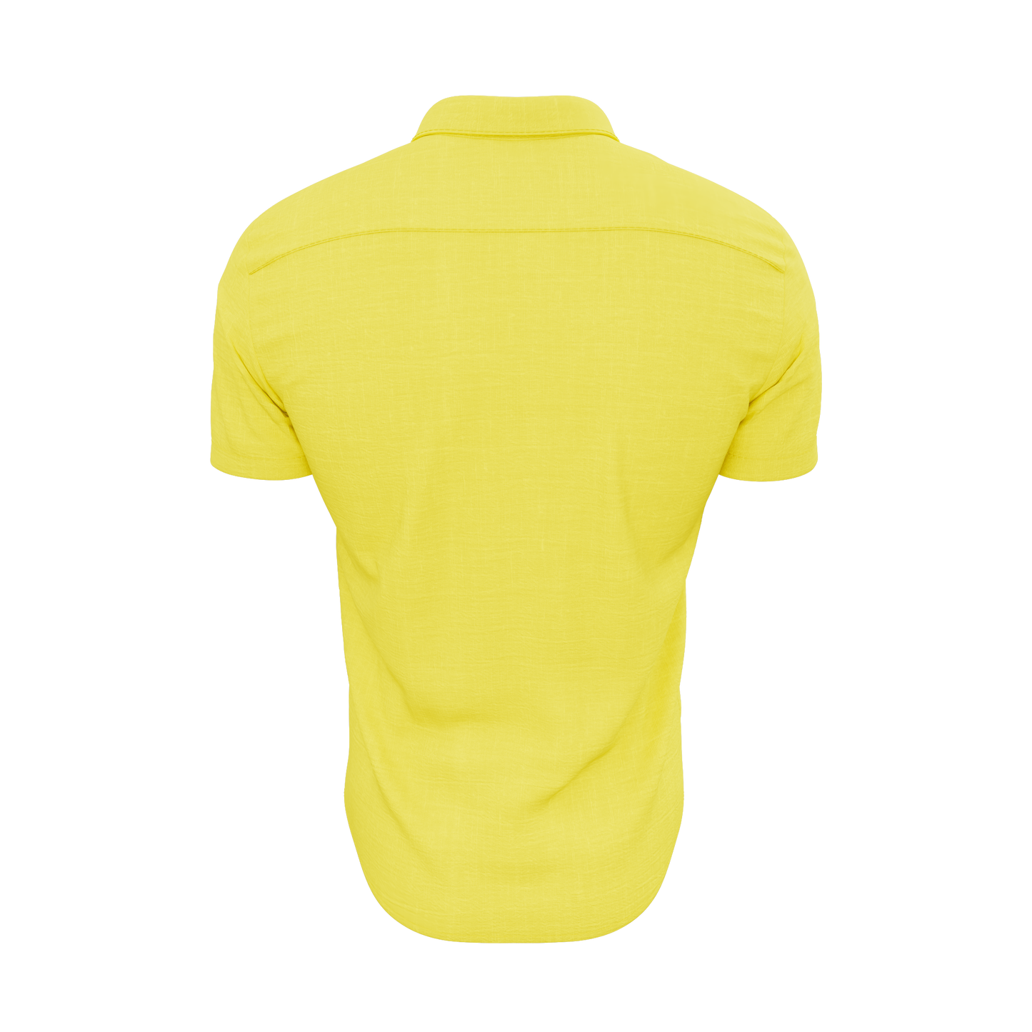 Gadsden Flag