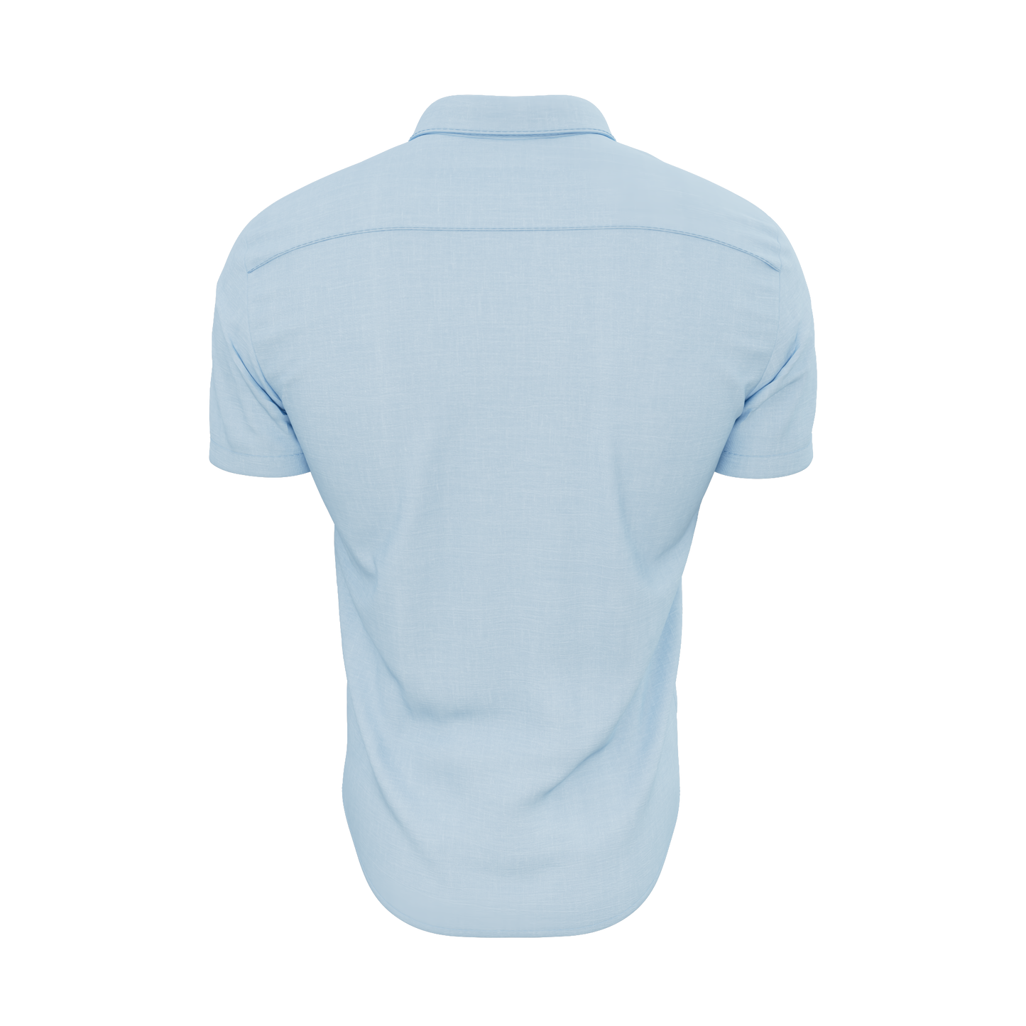 Carolina Blue